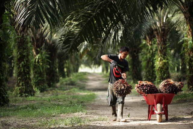 Kami menjual alat perkebunan